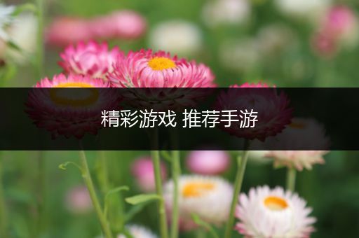 精彩游戏 推荐手游