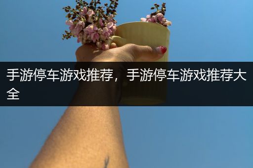 手游停车游戏推荐，手游停车游戏推荐大全