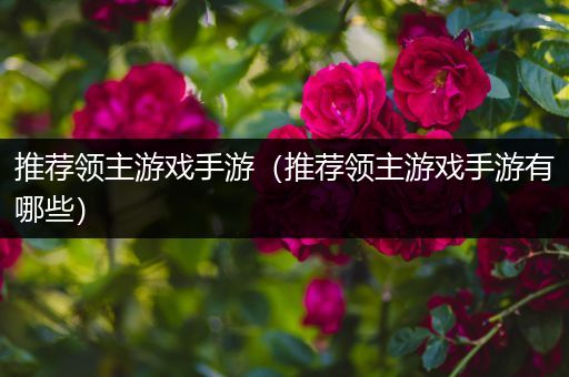 推荐领主游戏手游（推荐领主游戏手游有哪些）