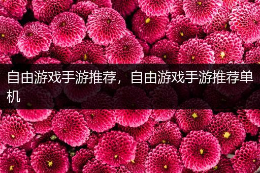自由游戏手游推荐，自由游戏手游推荐单机