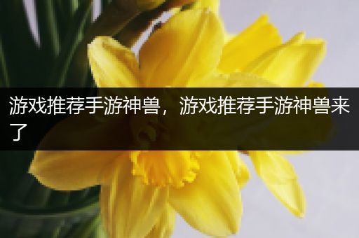 游戏推荐手游神兽，游戏推荐手游神兽来了