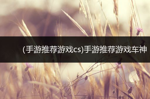 （手游推荐游戏cs)手游推荐游戏车神