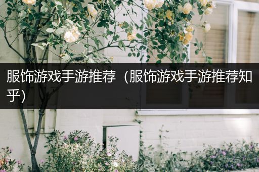 服饰游戏手游推荐（服饰游戏手游推荐知乎）