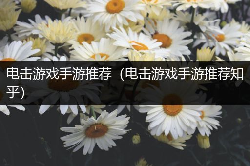电击游戏手游推荐（电击游戏手游推荐知乎）