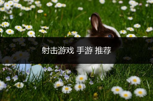 射击游戏 手游 推荐