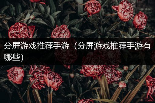 分屏游戏推荐手游（分屏游戏推荐手游有哪些）