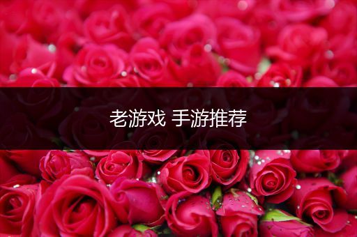 老游戏 手游推荐