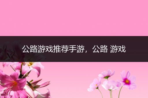公路游戏推荐手游，公路 游戏
