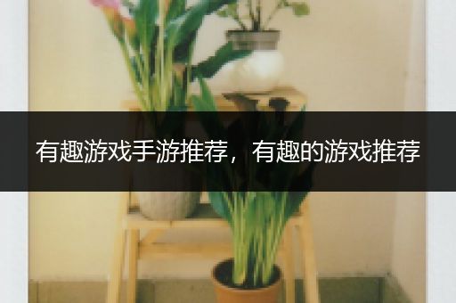 有趣游戏手游推荐，有趣的游戏推荐