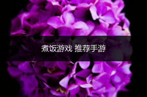 煮饭游戏 推荐手游