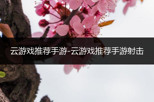 云游戏推荐手游-云游戏推荐手游射击