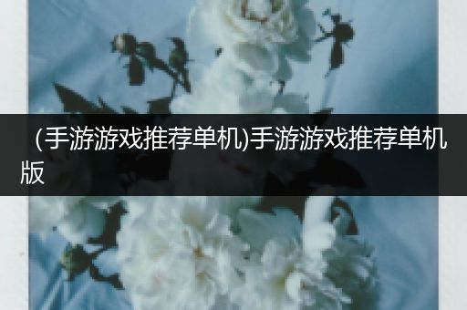 （手游游戏推荐单机)手游游戏推荐单机版