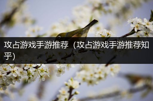 攻占游戏手游推荐（攻占游戏手游推荐知乎）