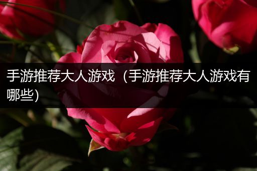 手游推荐大人游戏（手游推荐大人游戏有哪些）