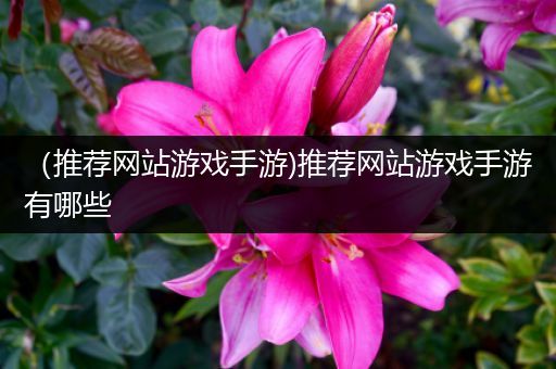 （推荐网站游戏手游)推荐网站游戏手游有哪些