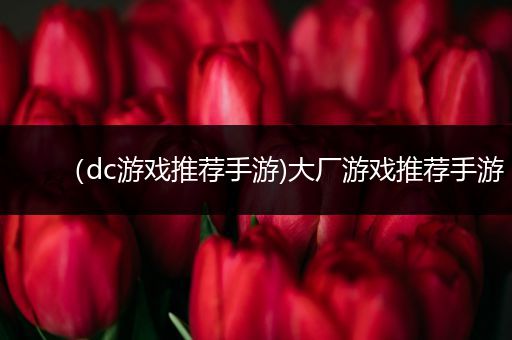 （dc游戏推荐手游)大厂游戏推荐手游