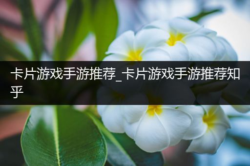 卡片游戏手游推荐_卡片游戏手游推荐知乎