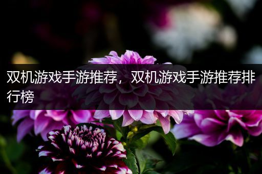 双机游戏手游推荐，双机游戏手游推荐排行榜