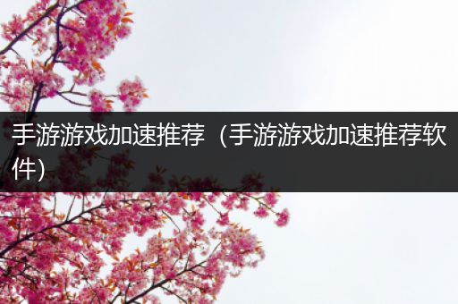 手游游戏加速推荐（手游游戏加速推荐软件）