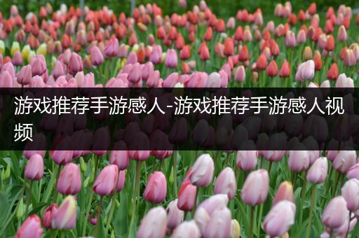 游戏推荐手游感人-游戏推荐手游感人视频
