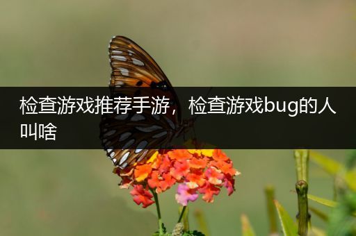 检查游戏推荐手游，检查游戏bug的人叫啥