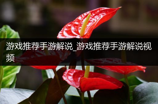 游戏推荐手游解说_游戏推荐手游解说视频