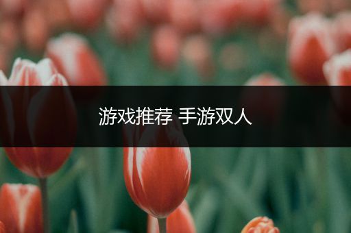 游戏推荐 手游双人
