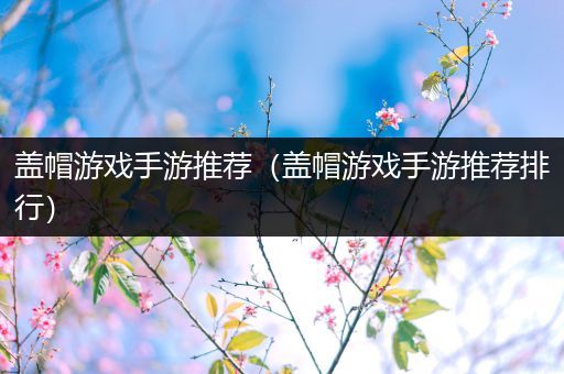 盖帽游戏手游推荐（盖帽游戏手游推荐排行）