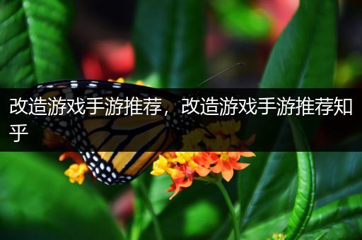 改造游戏手游推荐，改造游戏手游推荐知乎
