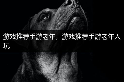 游戏推荐手游老年，游戏推荐手游老年人玩