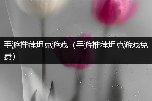 手游推荐坦克游戏（手游推荐坦克游戏免费）
