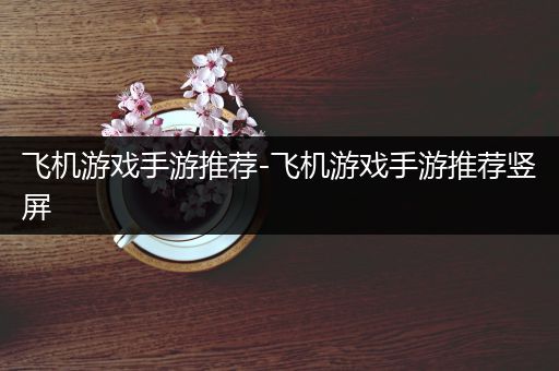 飞机游戏手游推荐-飞机游戏手游推荐竖屏