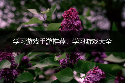 学习游戏手游推荐，学习游戏大全
