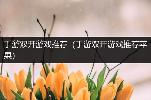手游双开游戏推荐（手游双开游戏推荐苹果）