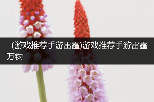 （游戏推荐手游雷霆)游戏推荐手游雷霆万钧