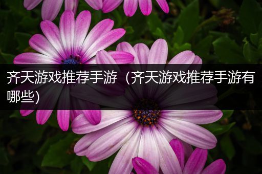 齐天游戏推荐手游（齐天游戏推荐手游有哪些）