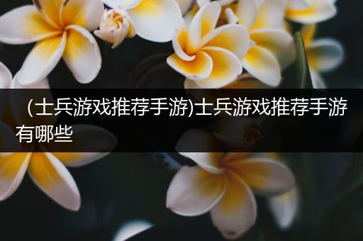 （士兵游戏推荐手游)士兵游戏推荐手游有哪些