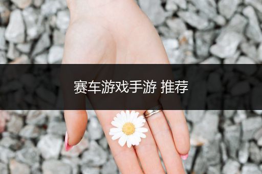 赛车游戏手游 推荐