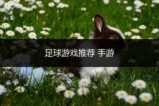 足球游戏推荐 手游