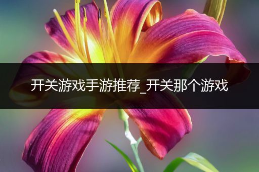 开关游戏手游推荐_开关那个游戏