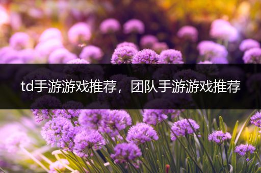 td手游游戏推荐，团队手游游戏推荐