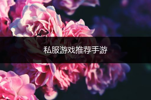 私服游戏推荐手游