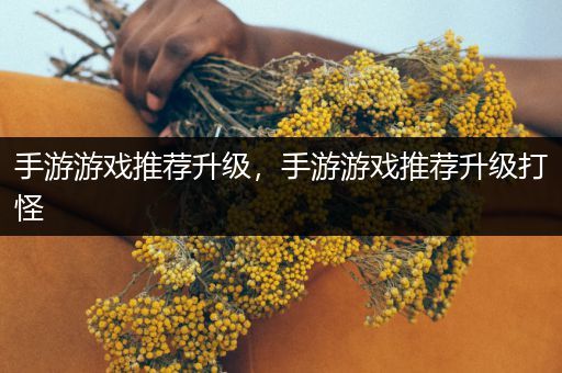 手游游戏推荐升级，手游游戏推荐升级打怪