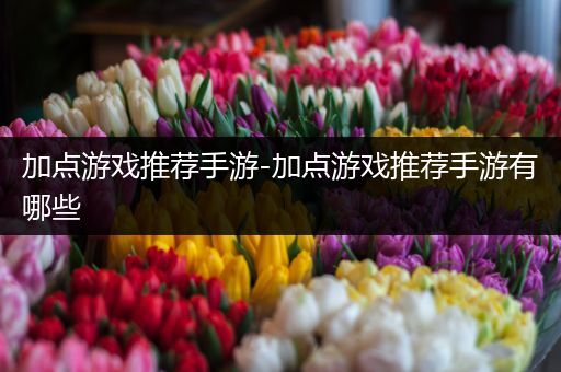 加点游戏推荐手游-加点游戏推荐手游有哪些