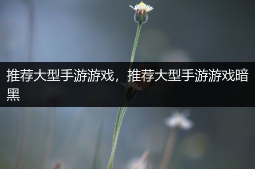 推荐大型手游游戏，推荐大型手游游戏暗黑