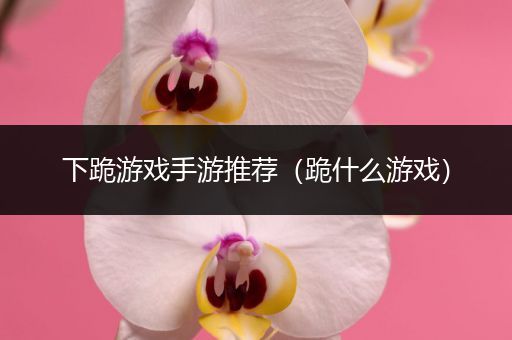 下跪游戏手游推荐（跪什么游戏）
