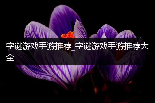 字谜游戏手游推荐_字谜游戏手游推荐大全