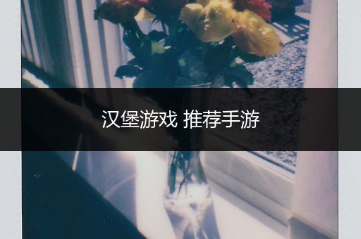 汉堡游戏 推荐手游