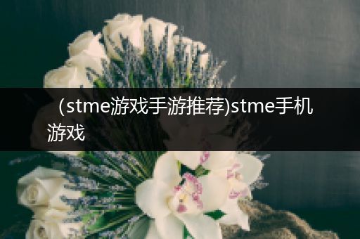 （stme游戏手游推荐)stme手机游戏