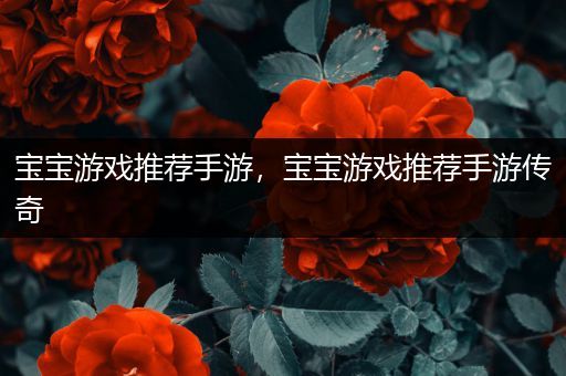 宝宝游戏推荐手游，宝宝游戏推荐手游传奇
